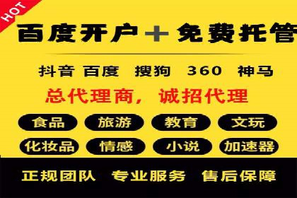 竞价广告的创意与执行：一则经典案例剖析